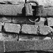 Flashofred2019 Day 8 -  Kiln Brick Work by judithdeacon
