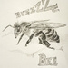 Buzz Bee by harveyzone
