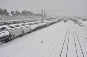 30th Jan 2019 - Snow Train