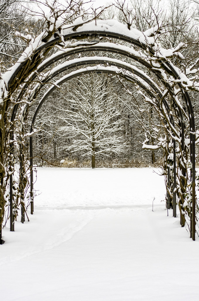 Gateway to winter by ggshearron