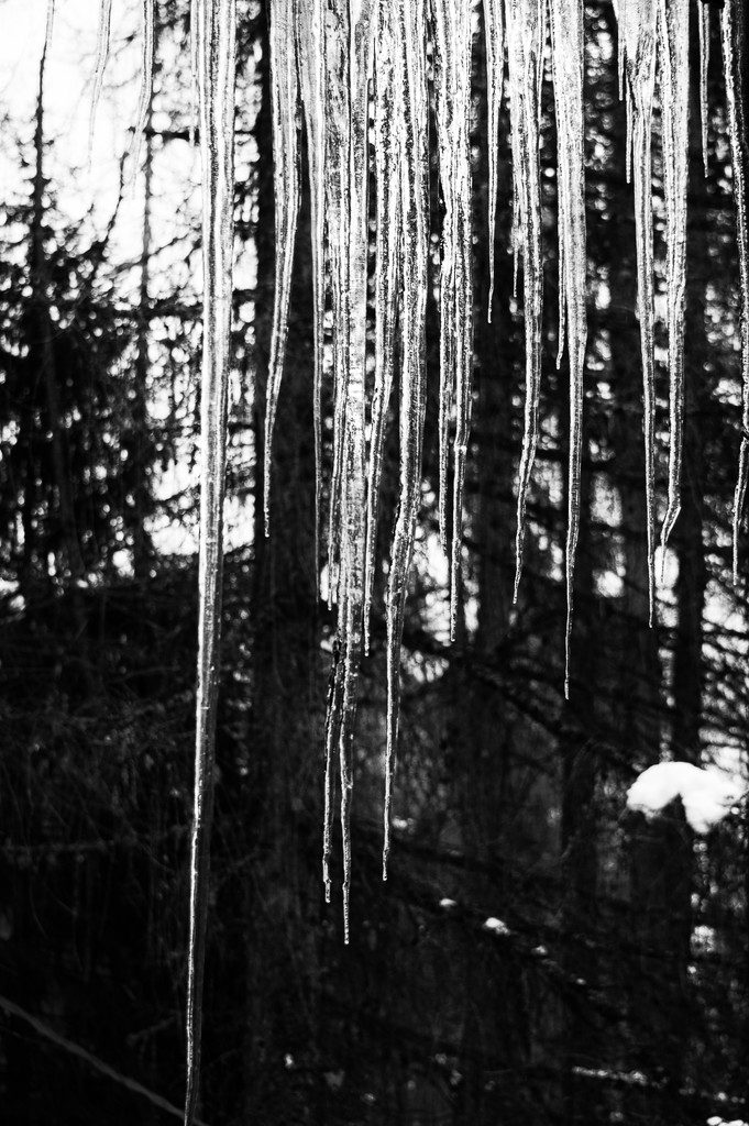 icicles from my window by caterina