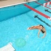 Diving_Into_Pool by sfeldphotos