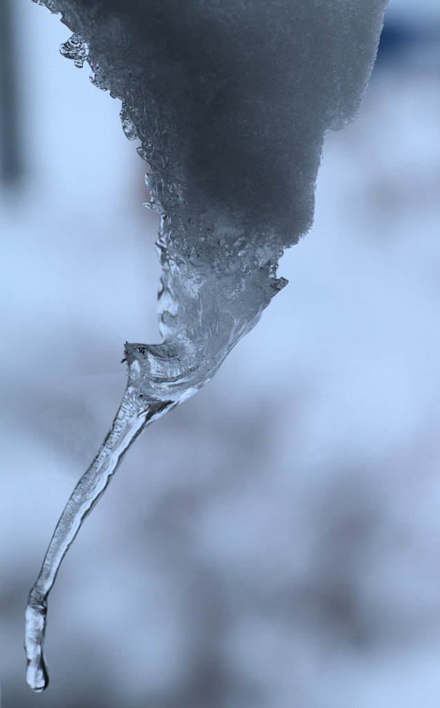 icicle 1 by gtoolman8