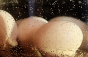 10th Feb 2019 - Day 41: Boiling Eggs