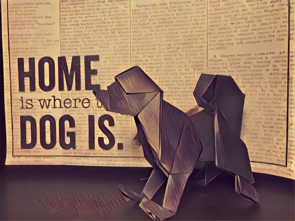 Dog: Origami  by jnadonza
