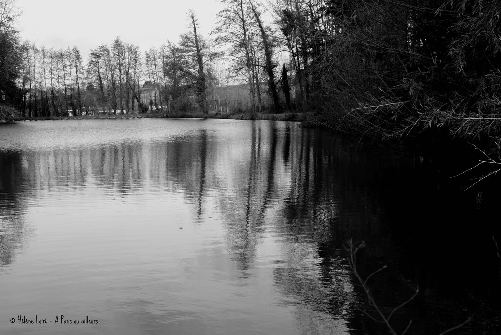 Pond by parisouailleurs