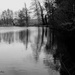 Pond by parisouailleurs