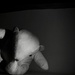Introducing Thread Bear by s4sayer