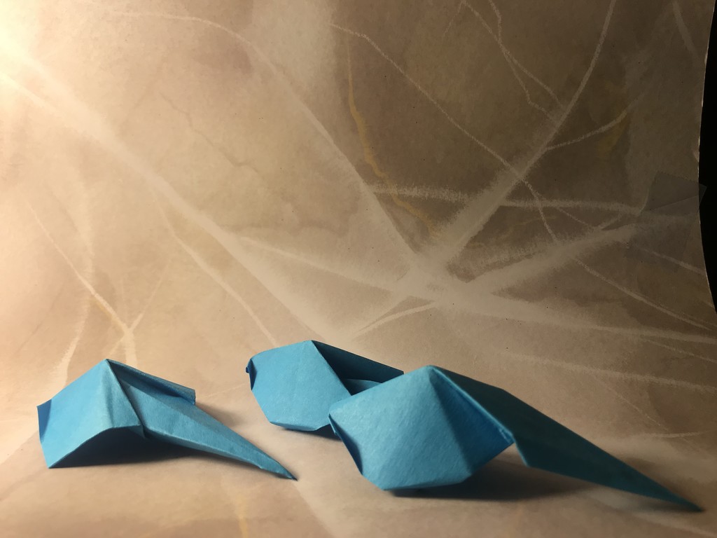 Tadpoles: Origami  by jnadonza