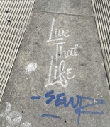 7th Feb 2019 - Sidewalk Stencil