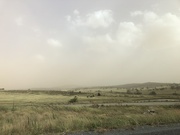 12th Feb 2019 - Dust storm