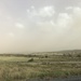 Dust storm by pusspup