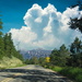 The Road To Estes Park Colorado by randy23