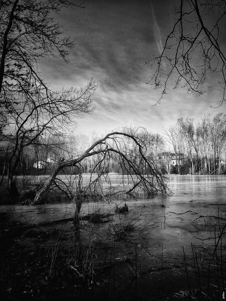 Frozen Pond by ramr