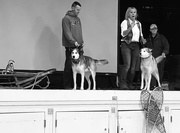 12th Feb 2019 - Sled dog assembly