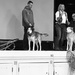 Sled dog assembly by pandorasecho