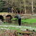 Searching for snowdrops by jeff