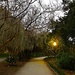 Hampton Park at dusk by congaree