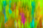 13th Jan 2019 - (Day 334) - Colorful ICM