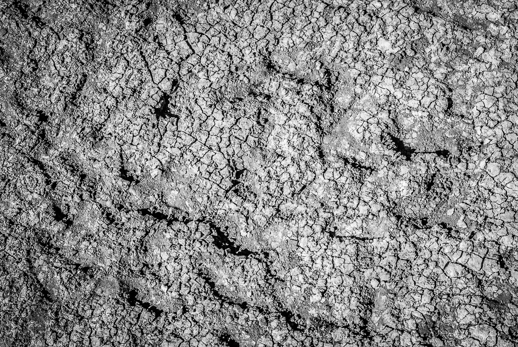 (Day 337) - Dry Ground by cjphoto