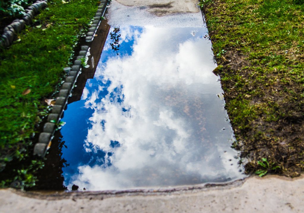 (Day 344) - Cloud on the Ground by cjphoto