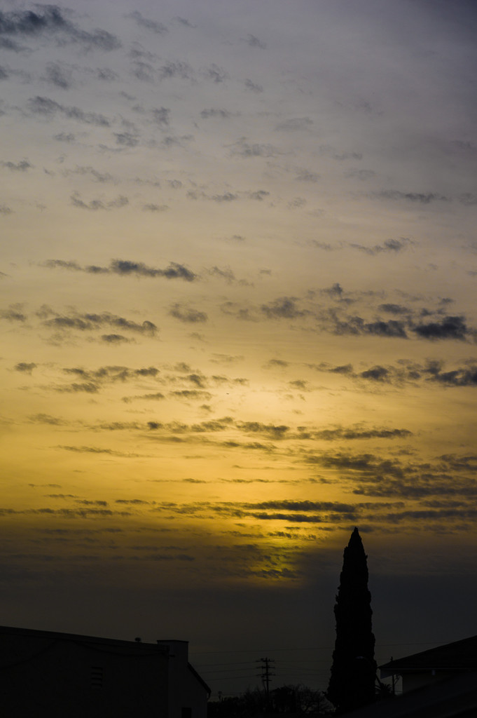 (Day 347) - Mellow Sunset by cjphoto