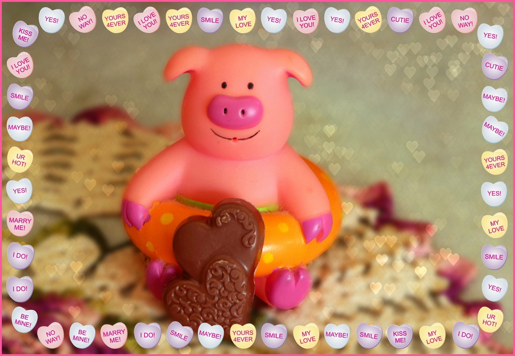 Happy Valentines Day, Love Piggy by olivetreeann