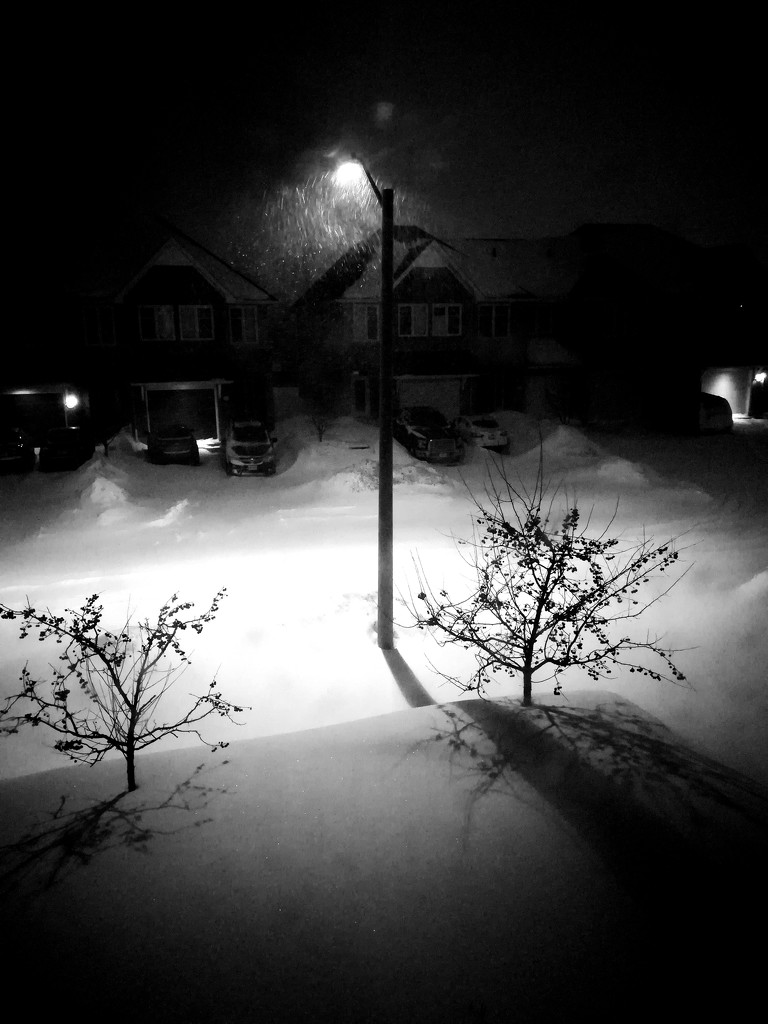 Snowy night by adi314