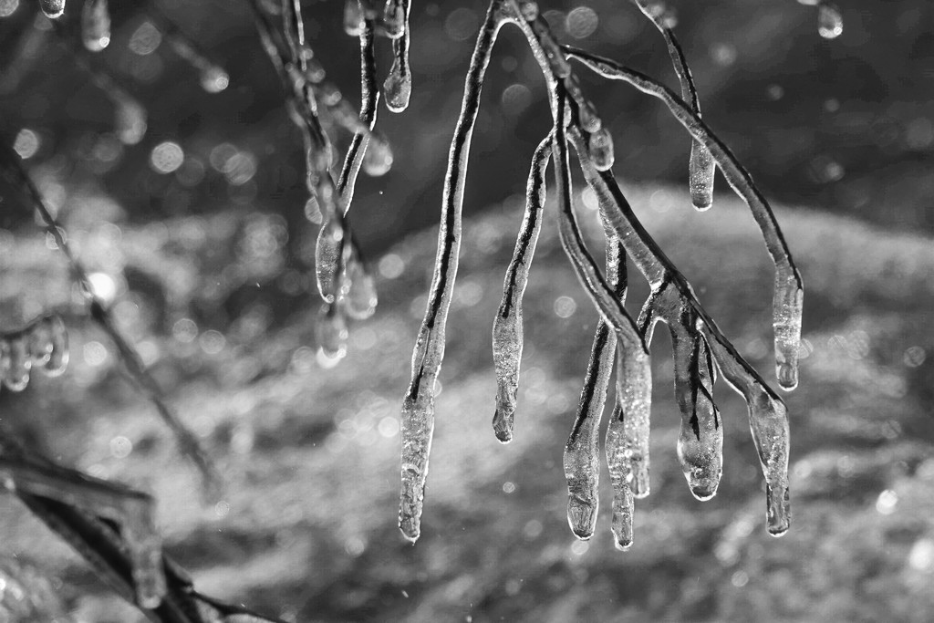 It's Dripping Icicles by milaniet
