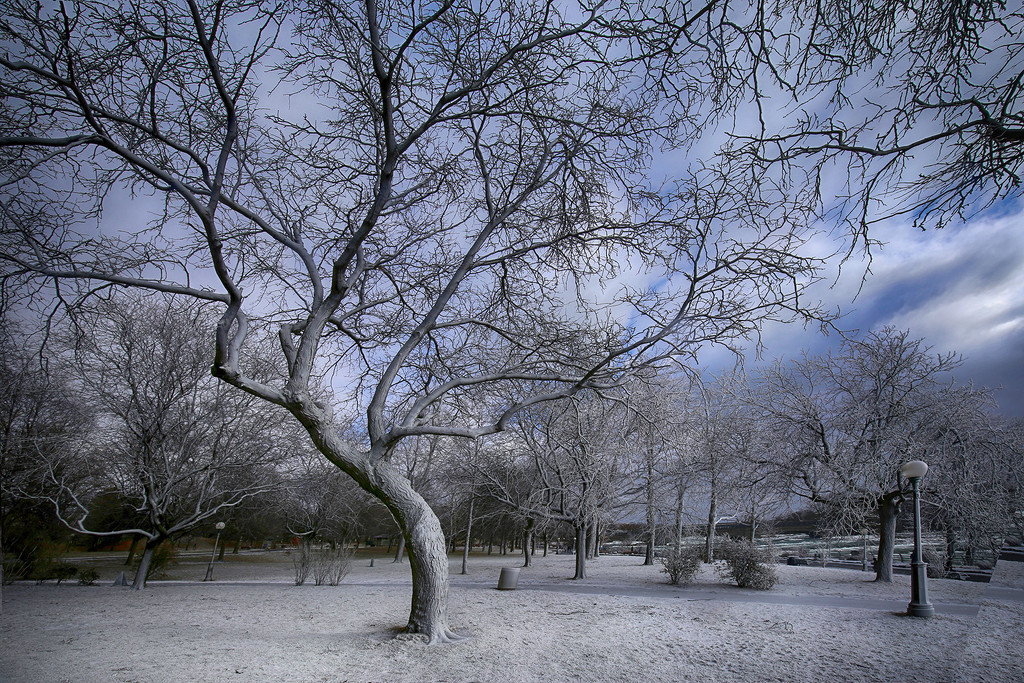 Winter Wonderland  by pdulis