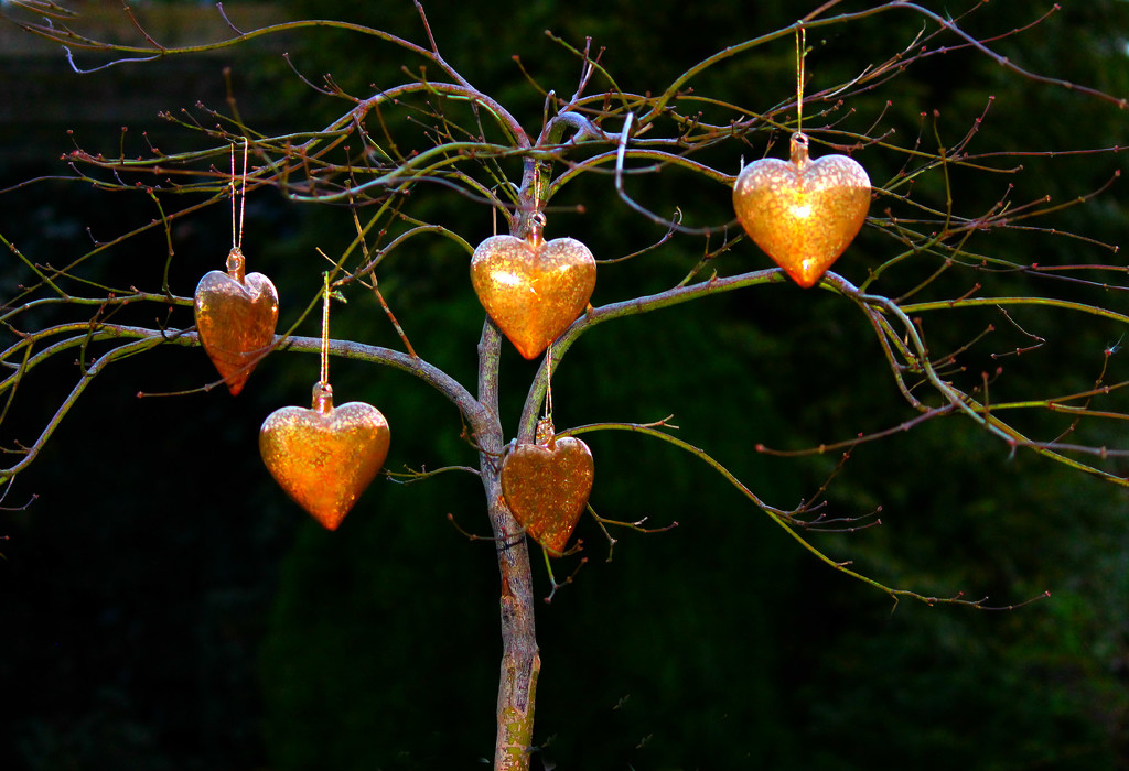 The Love Tree. by wendyfrost
