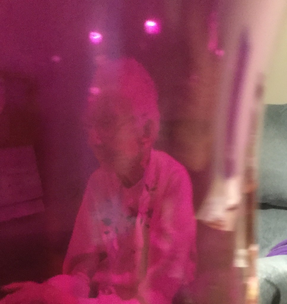 Portrait of Mom taken through a purple vase by mcsiegle