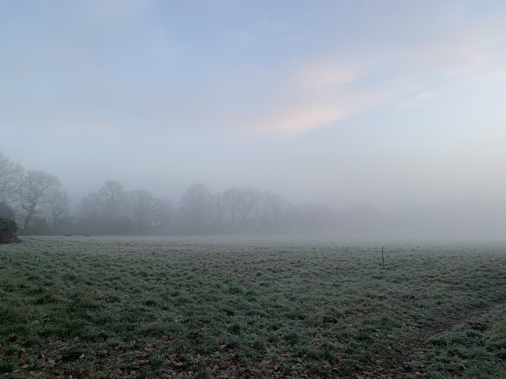 A foggy and frosty start by mattjcuk