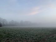 14th Feb 2019 - A foggy and frosty start