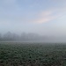 A foggy and frosty start by mattjcuk