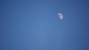 14th Feb 2019 - Blue Sky & Moon