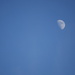 Blue Sky & Moon by newbank