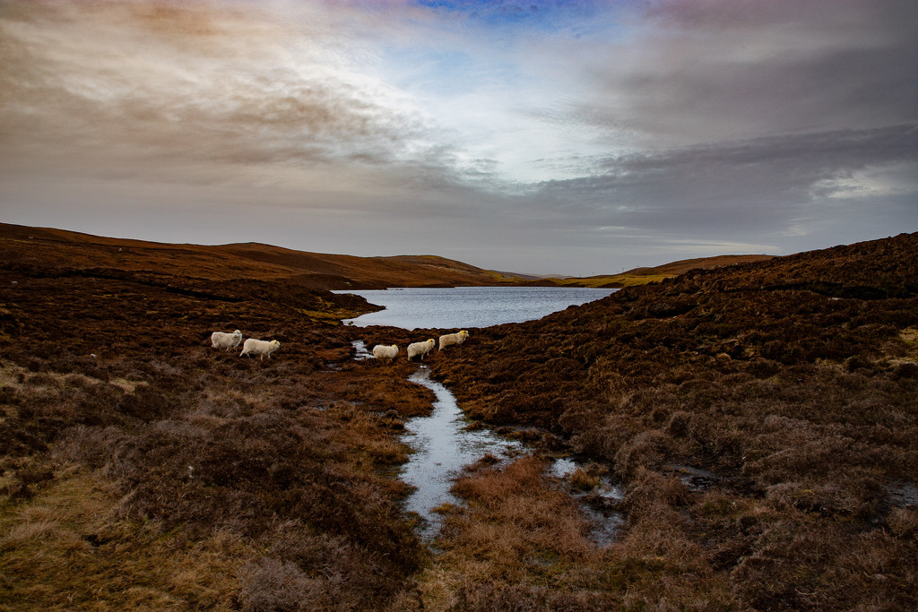 Glussdale Water by lifeat60degrees