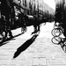 Ferrara, city of bicycles by caterina