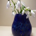 Snowdrops in a blue vase...  by snowy