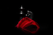 14th Feb 2019 - love in the shadows...  the queen and her knight