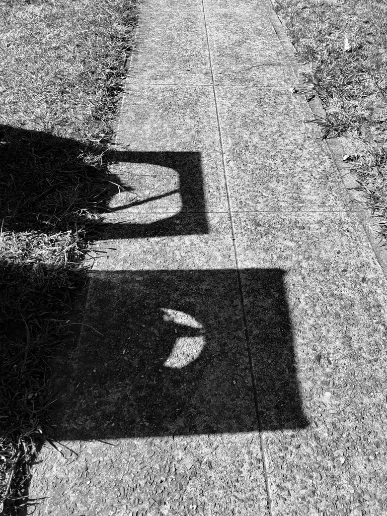Shadows by kjarn