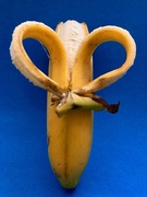16th Feb 2019 - Just love a banana!