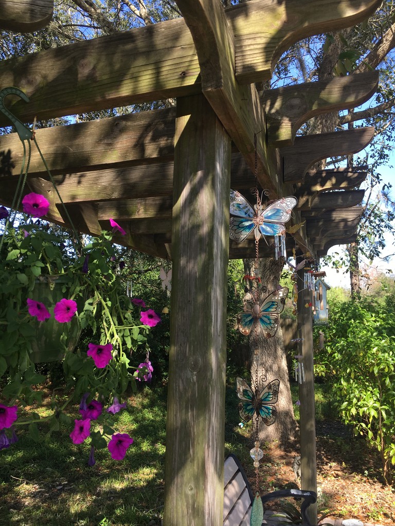 Butterfly Garden by wilkinscd