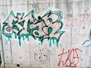 14th Feb 2019 - Local Graffiti 2019-02-14