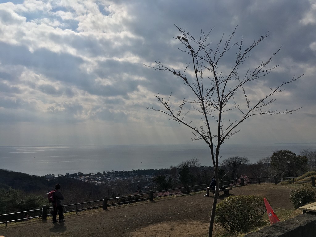 View from Mount Koma, Oiso (高麗山, 大磯) 2019-02-17 by cityhillsandsea