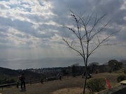 17th Feb 2019 - View from Mount Koma, Oiso (高麗山, 大磯) 2019-02-17