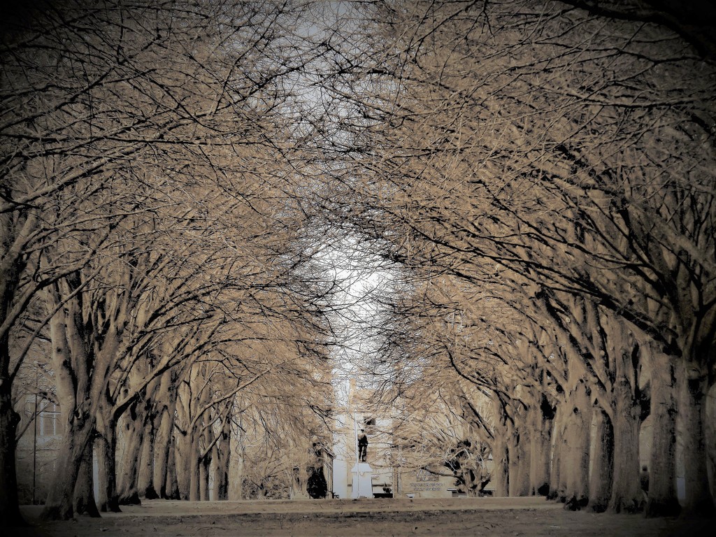 The Avenue by ajisaac
