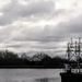 Perching gulls at Walthamstow Wetlands by boxplayer