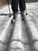 17th Feb 2019 - A Little Icy on the Trails Today
